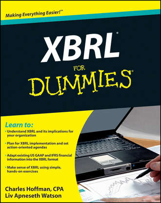 XBRL For Dummies