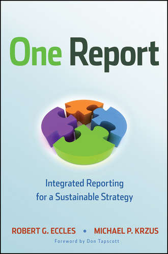 One Report. Integrated Reporting for a Sustainable Strategy