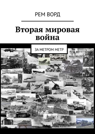 Вторая мировая война. За метром метр