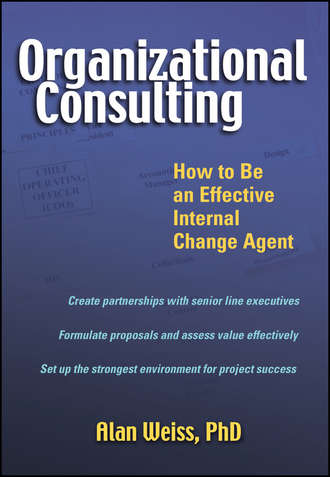 Organizational Consulting. How to Be an Effective Internal Change Agent