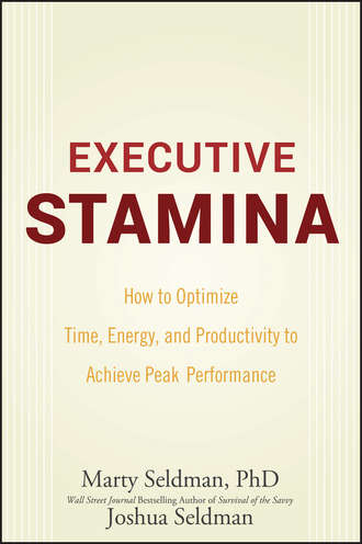 Executive Stamina. How to Optimize Time, Energy, and Productivity to Achieve Peak Performance