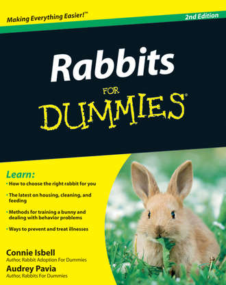 Rabbits For Dummies