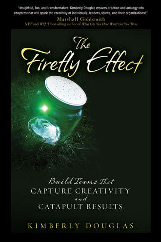 The Firefly Effect. Build Teams That Capture Creativity and Catapult Results