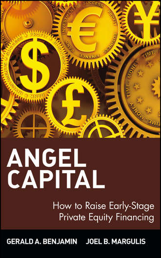 Angel Capital. How to Raise Early-Stage Private Equity Financing