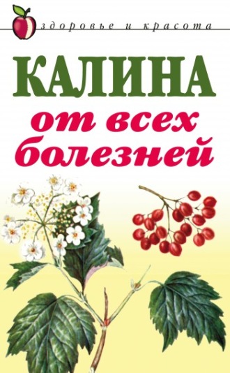 Калина от всех болезней