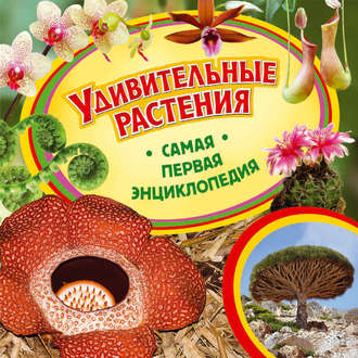 Удивительные растения