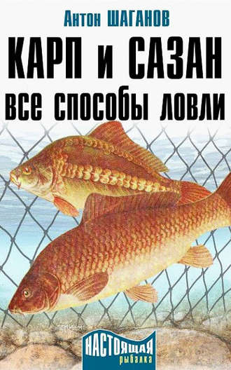 Карп и сазан. Все способы ловли