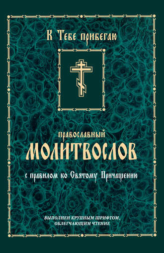 К тебе прибегаю. Православный молитвослов с правилом ко Святому Причащению