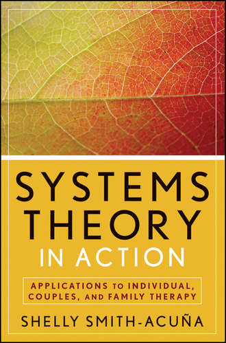 Systems Theory in Action. Applications to Individual, Couple, and Family Therapy