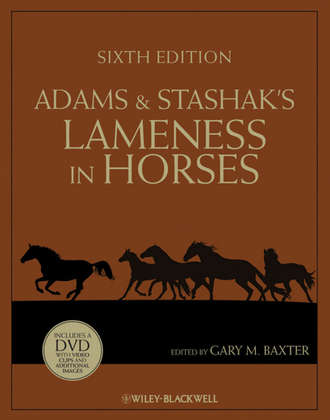 Adams and Stashak's Lameness in Horses