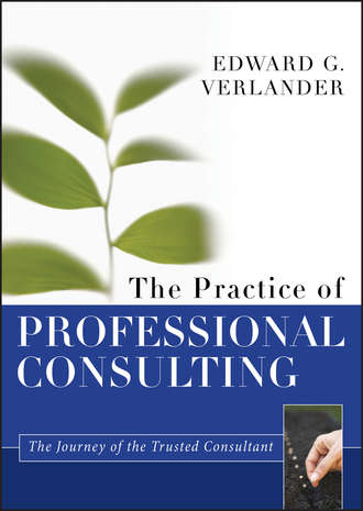 The Practice of Professional Consulting