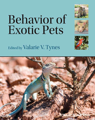 Behavior of Exotic Pets