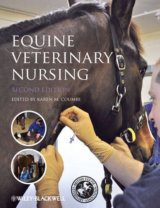 Equine Veterinary Nursing