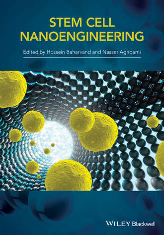 Stem Cell Nanoengineering