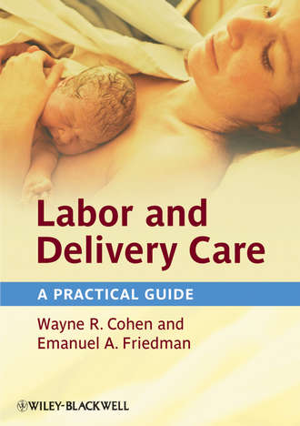 Labor and Delivery Care. A Practical Guide