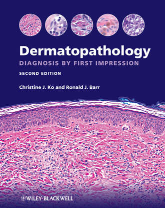 Dermatopathology. Diagnosis by First Impression