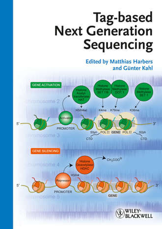 Tag-based Next Generation Sequencing