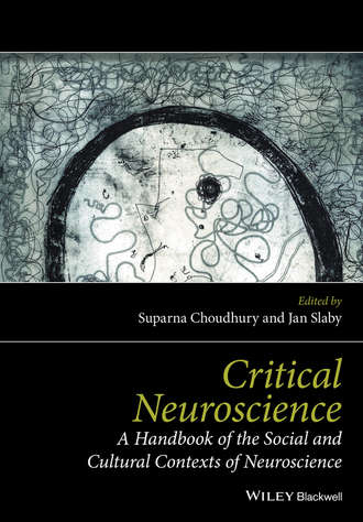 Critical Neuroscience. A Handbook of the Social and Cultural Contexts of Neuroscience