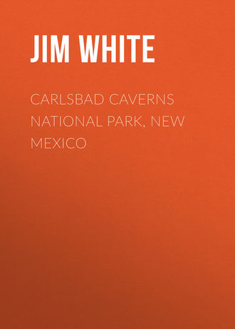 Carlsbad Caverns National Park, New Mexico