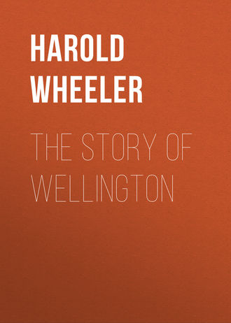 The Story of Wellington