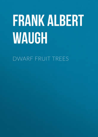 Dwarf Fruit Trees