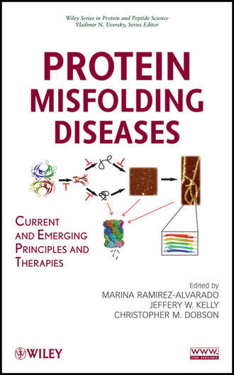 Protein Misfolding Diseases. Current and Emerging Principles and Therapies