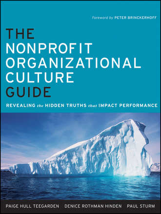 The Nonprofit Organizational Culture Guide. Revealing the Hidden Truths That Impact Performance