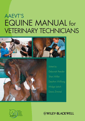 AAEVT&apos;s Equine Manual for Veterinary Technicians