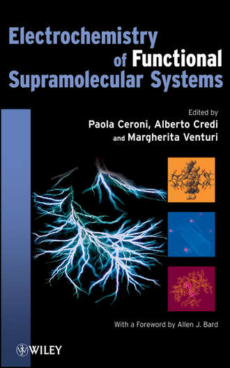 Electrochemistry of Functional Supramolecular Systems