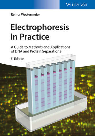 Electrophoresis in Practice. A Guide to Methods and Applications of DNA and Protein Separations