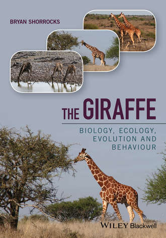 The Giraffe. Biology, Ecology, Evolution and Behaviour