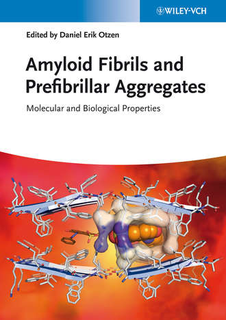 Amyloid Fibrils and Prefibrillar Aggregates. Molecular and Biological Properties