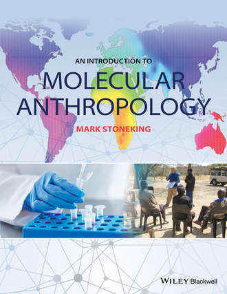 An Introduction to Molecular Anthropology