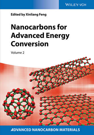 Nanocarbons for Advanced Energy Conversion