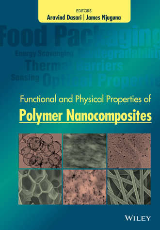 Functional and Physical Properties of Polymer Nanocomposites