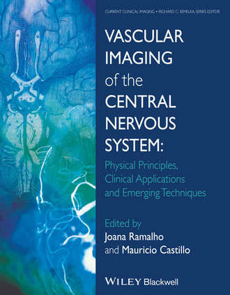 Vascular Imaging of the Central Nervous System. Physical Principles, Clinical Applications, and Emerging Techniques