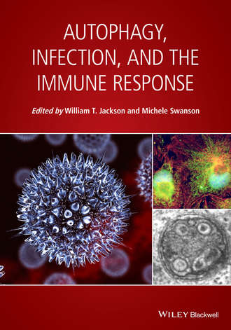 Autophagy, Infection, and the Immune Response