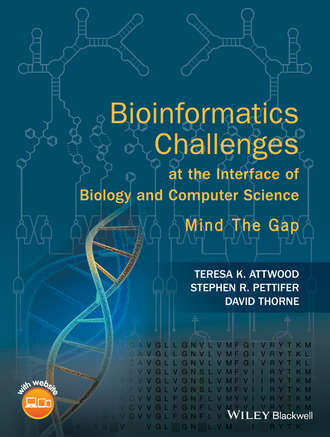 Bioinformatics Challenges at the Interface of Biology and Computer Science. Mind the Gap