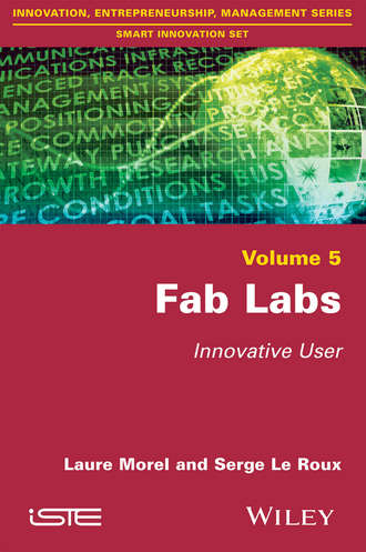 Fab Labs. Innovative User