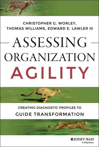 Assessing Organization Agility. Creating Diagnostic Profiles to Guide Transformation