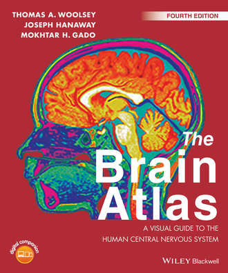 The Brain Atlas. A Visual Guide to the Human Central Nervous System