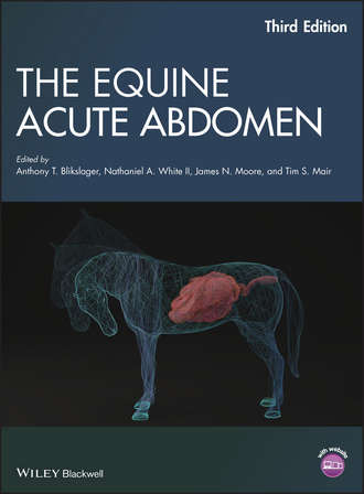 The Equine Acute Abdomen