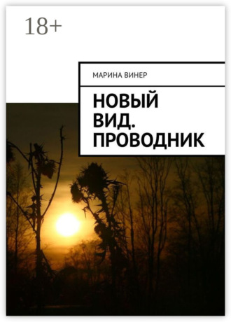 Новый вид. Проводник
