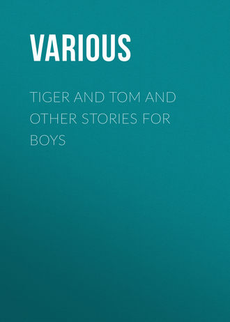 Tiger and Tom and Other Stories for Boys