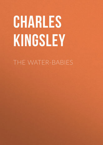 The Water-Babies