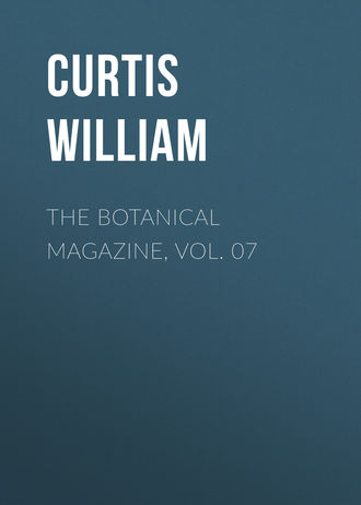 The Botanical Magazine, Vol. 07