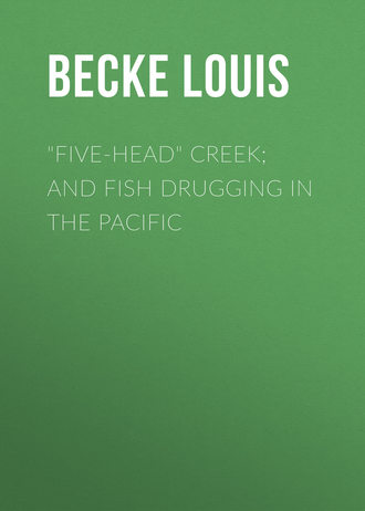 &quot;Five-Head&quot; Creek; and Fish Drugging In The Pacific