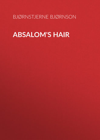 Absalom&apos;s Hair