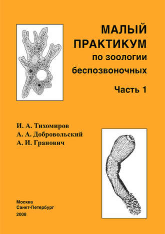 Малый практикум по зоологии беспозвоночных. Часть 1