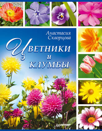 Цветники и клумбы